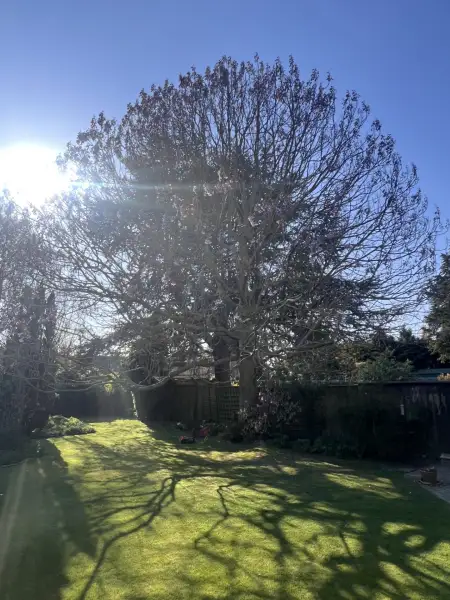 Swipe To View More Images