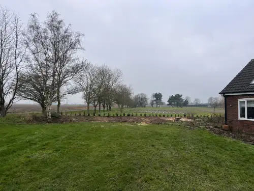 Click Here To Enlarge This Photo Of Leylandii Removals and Yew Planting