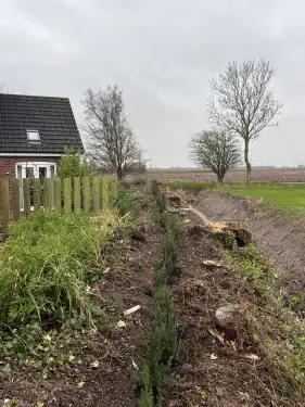 Click Here To Enlarge This Photo Of Leylandii Removals and Yew Planting