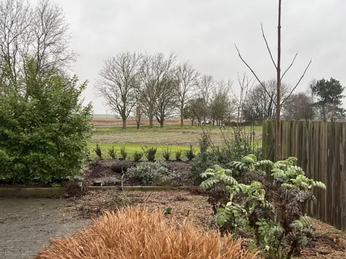 Click Here To Enlarge This Photo Of Leylandii Removals and Yew Planting