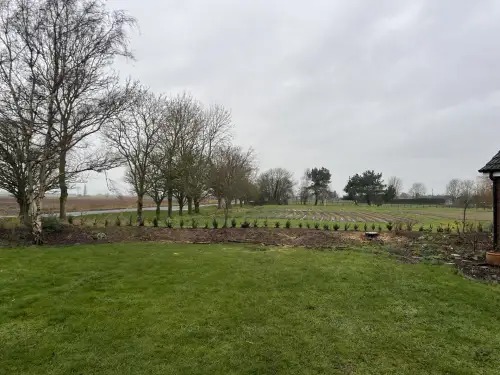 Click Here To Enlarge This Photo Of Leylandii Removals and Yew Planting