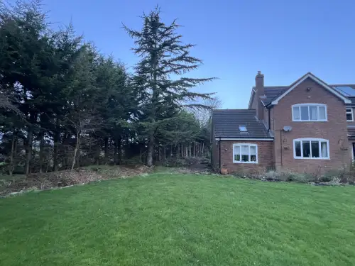 Click Here To Enlarge This Photo Of Leylandii Removals and Yew Planting