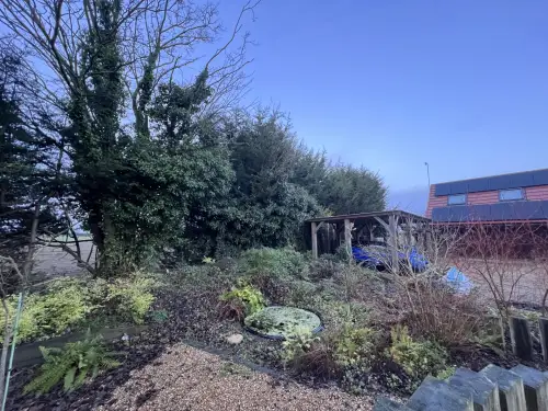 Click Here To Enlarge This Photo Of Leylandii Removals and Yew Planting