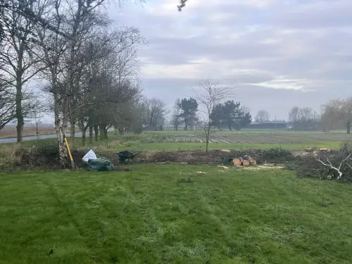 Click Here To Enlarge This Photo Of Leylandii Removals and Yew Planting
