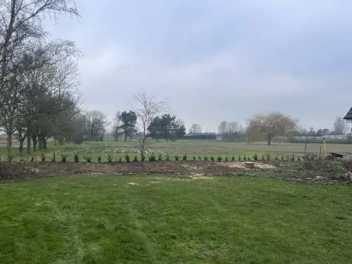Click Here To Enlarge This Photo Of Leylandii Removals and Yew Planting