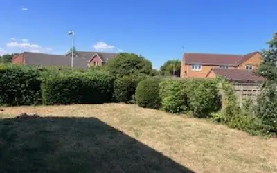 Photo of Tree and Hedge trimming Holbeach