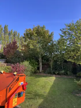 Click Here To Enlarge This Photo Of Tree Work Holbeach