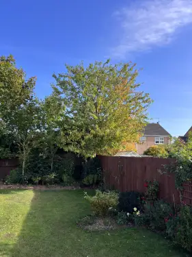 Click Here To Enlarge This Photo Of Tree Work Holbeach