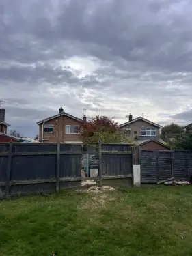Click Here To Enlarge This Photo Of Eucalyptus Removal